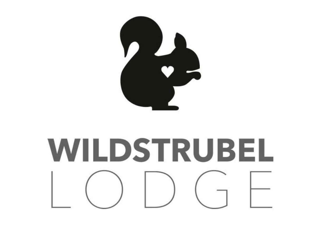 Wildstrubel Lodge 阿德尔博登 外观 照片